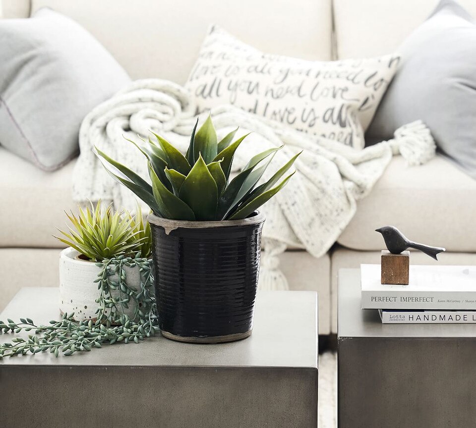 Faux Potted Aloe Vera Plant Pottery Barn Australia